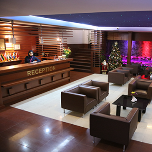 Hally Hotel
