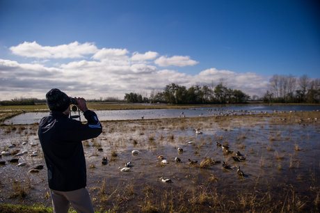 Birdwatching north part of Iran kelardasht 1-3