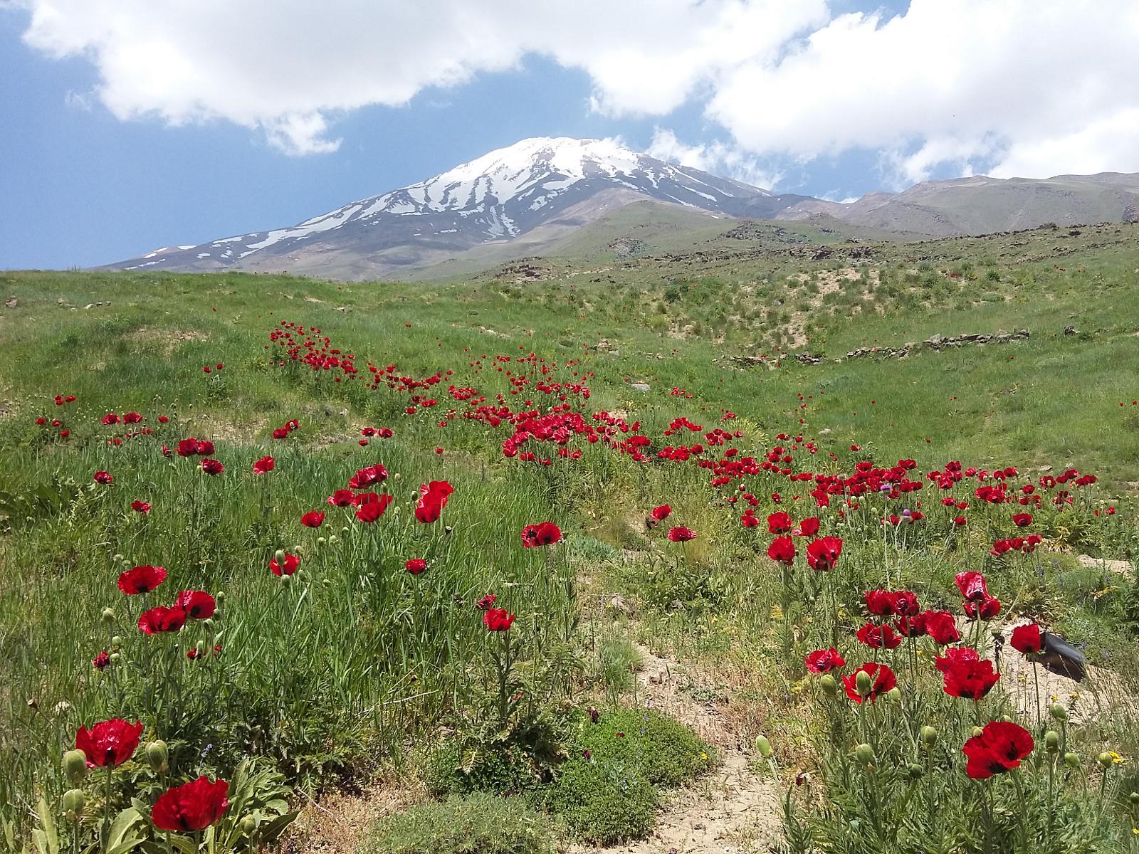 Alam Kuh Damavand travel package polor 6-3