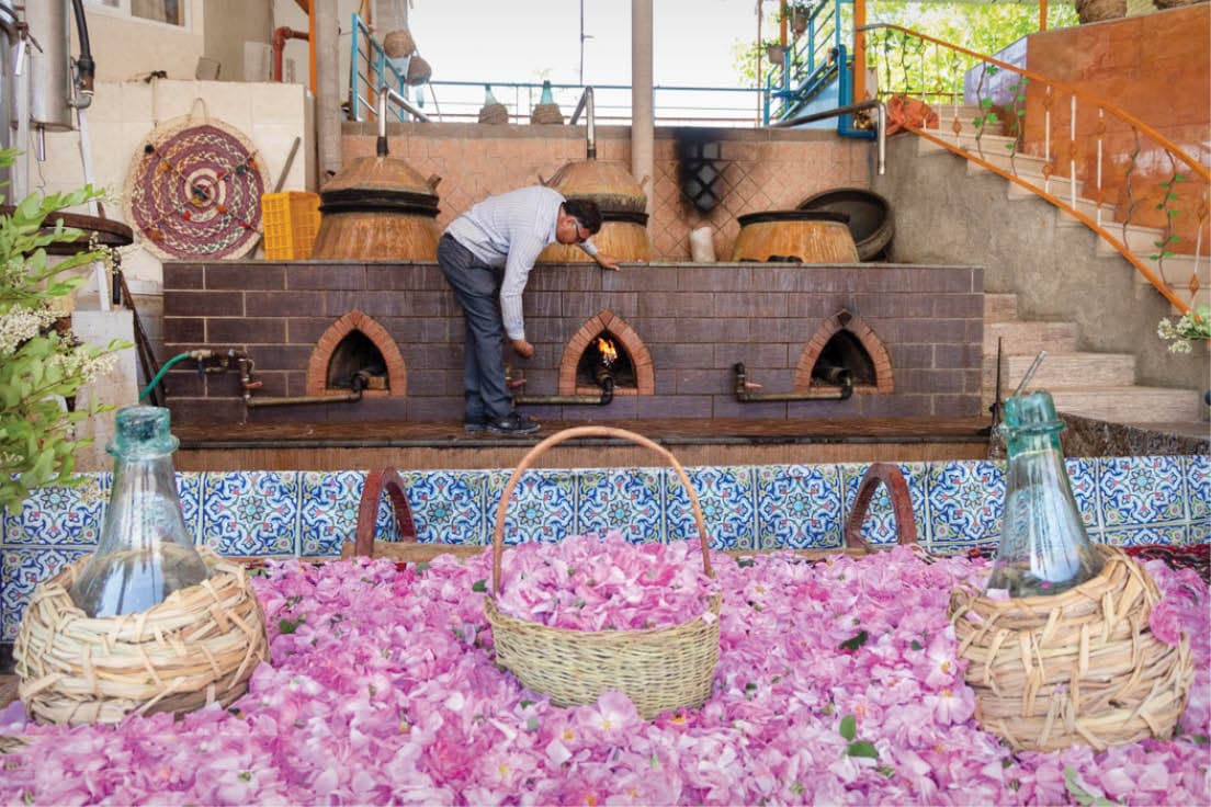 Days Across Persia-Iran Mysteries Tour 16-4